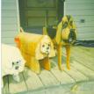 Bichon and Cocker Spaniel Box AND Bloodhound Planter