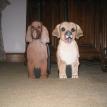 Irish Setter and Golden Retriever Toilet Paper Holder